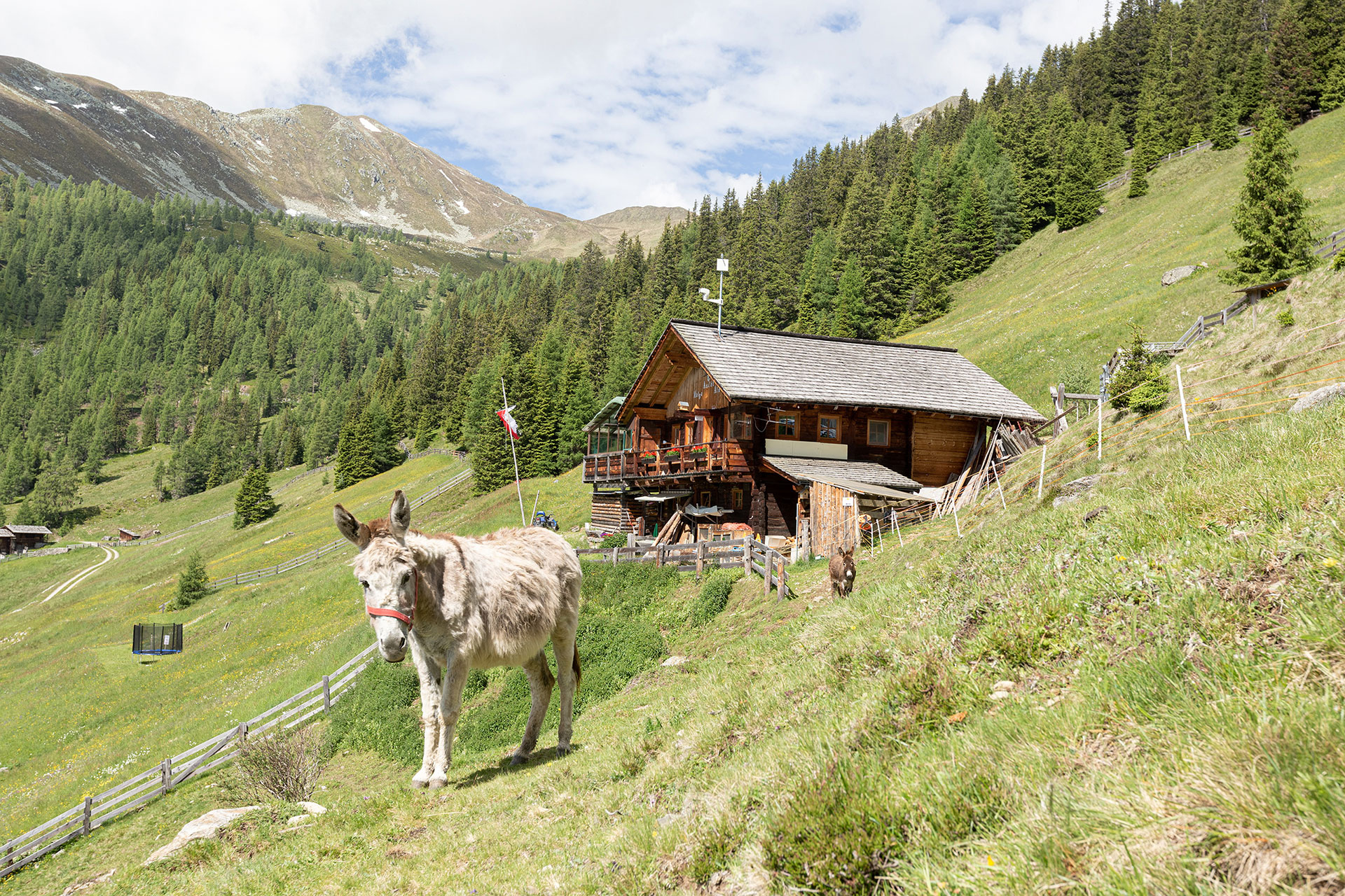 Wanderung auf die schöne Aschtalm in Gsies auf 1950 m