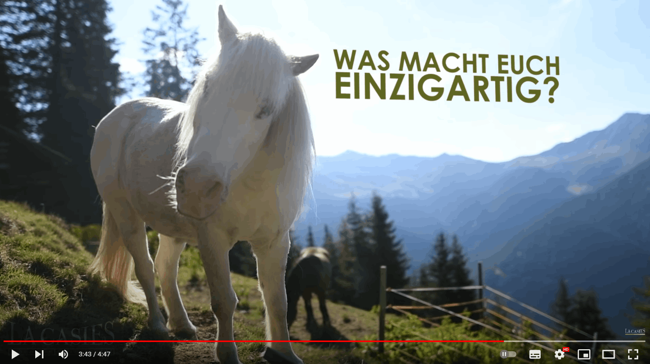 Video - Aschtalm - Gsies - Ascht Alm